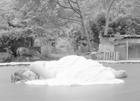 Dreamer