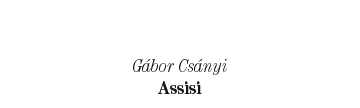 G&aacute;bor Cs&aacute;nyi: Assisi