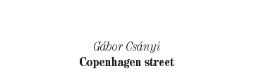 G&aacute;bor Cs&aacute;nyi: Copenhagen street