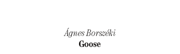 &Aacute;gnes Borsz&eacute;ki: Goose