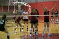 37volleyball.jpg