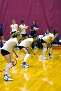 43volleyball.jpg