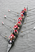 49crew0.jpg
