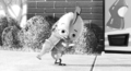 56chickenlittle.jpg