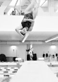 56diving.jpg