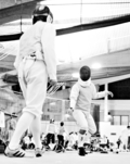 56fencing.jpg