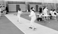 60fencing.jpg