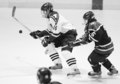 icehockey-1.jpg