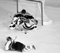 65micehockey.jpg