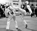 10tkd.jpg