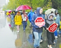 43rallies-3.jpg