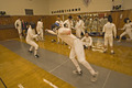 fencing.jpg