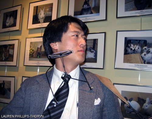 Impossible is nothing when you’re surrounded by pictures of bunnies.