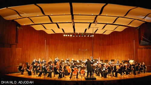 The MIT Symphony Orchestra performs Kabalevsky: Concerto No. 2 for Cello on March 14 in Kresge Auditorium. The piece featured soloist Cai P. GoGwilt ’10.