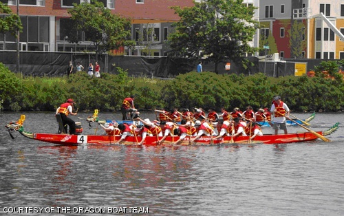 The MIT Eager Beavers (front) race against the Harvard Crimson (back) during the annual Hong Kong Dragon Boat Festival held June 8, 2008 on the Charles River.
