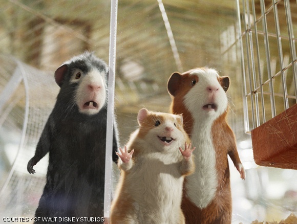 In G-Force, every hair is lovingly rendered. That’s probably the most interesting part of the movie.