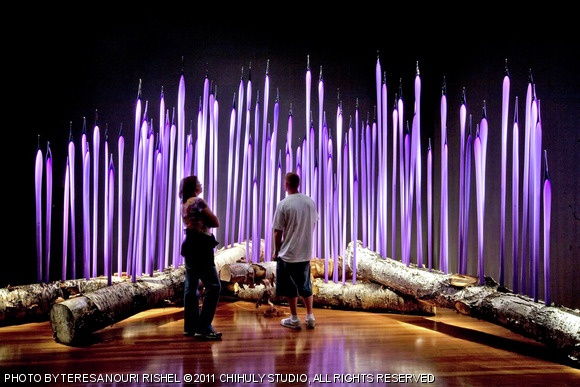 Chihuly’s Neodymium Reeds is now on display at Boston’s Museum of Fine Arts.