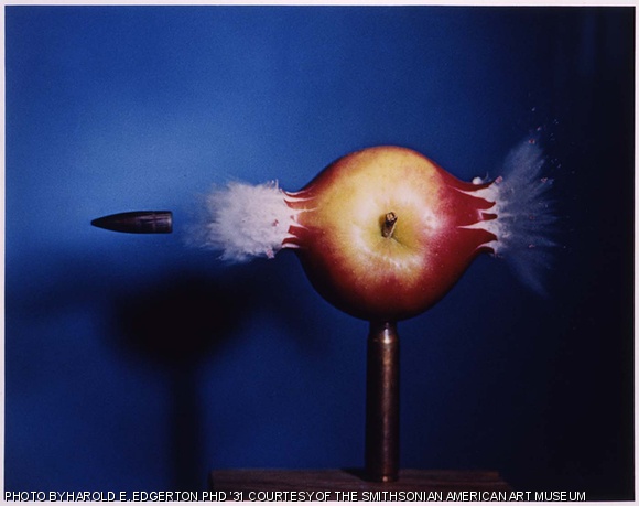 The photo Bullet Through Apple is available to students and will be on display in the Student Art Loan Exhibit.