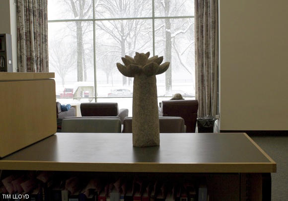 In the Hayden Library.