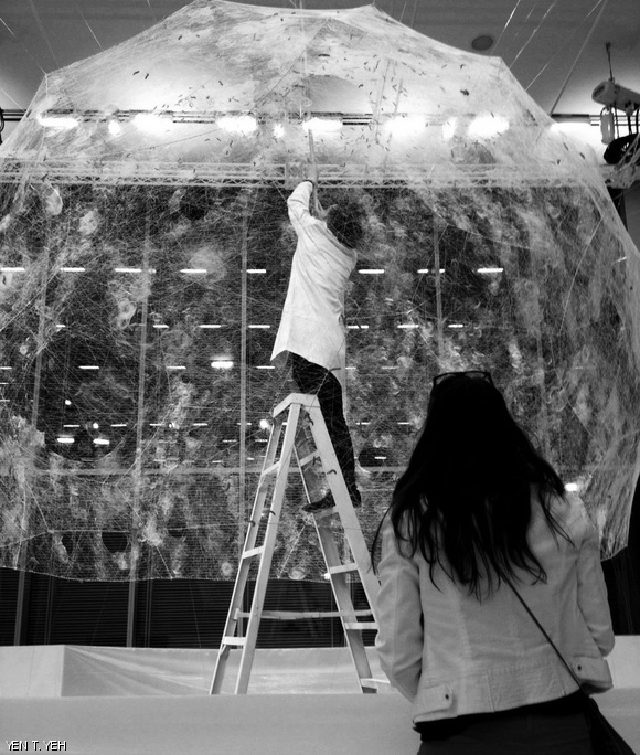 This summer, the MIT Media Lab’s Mediated Matter Group commissioned 6,500 live silkworms to build a 12 ft. by 12 ft. dome. The dome is on display in the east entrance of the Media Lab.