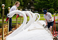 swanboats.jpg