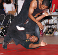 jiu-jitsu_flip.jpg