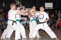 karate_elbow.jpg