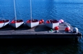 41boats.jpg