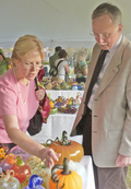 42pumpkins5.jpg