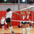 44WVball.jpg