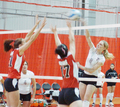 44WVball2.jpg