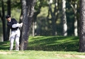 Golf_22.jpg