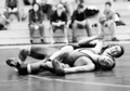 wrestling.jpg