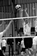 10mvball.jpg
