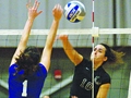wVball.jpg
