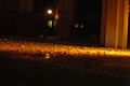 pumpkinDrop-1.jpg