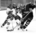 iceHockey.jpg