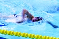 swim.jpg