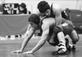 wrestling.jpg