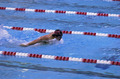 swimming.jpg