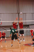 mvball.jpg