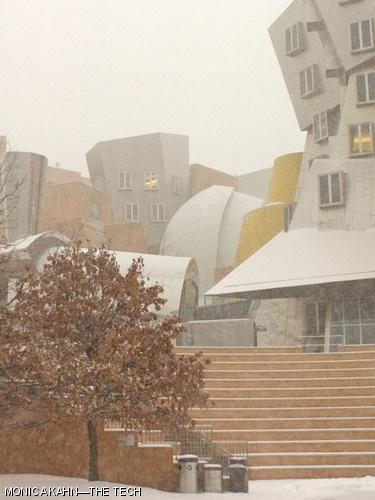 Snow falls on the Stata Center during Cambridge’s first significant snowfall of the winter season on Dec. 13, 2007.