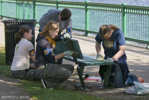 Members of the service fraternity Alpha Phi Omega paint a bench on the bank of the Charles River as part of the Smoot 50th Anniversary Celebration on Saturday afternoon.