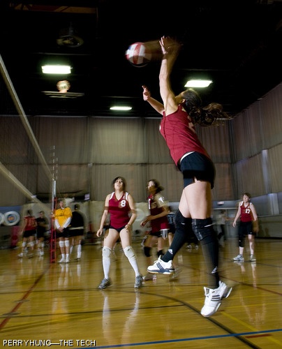 Gergana Bounova G takes a swing for the MIT Women’s Volleyball Club team. Four club teams competed in a trio of tournaments held at Rockwell Cage on Saturday, November 22. Bounova’s Maroon team won a thrilling three-game final to capture their division.