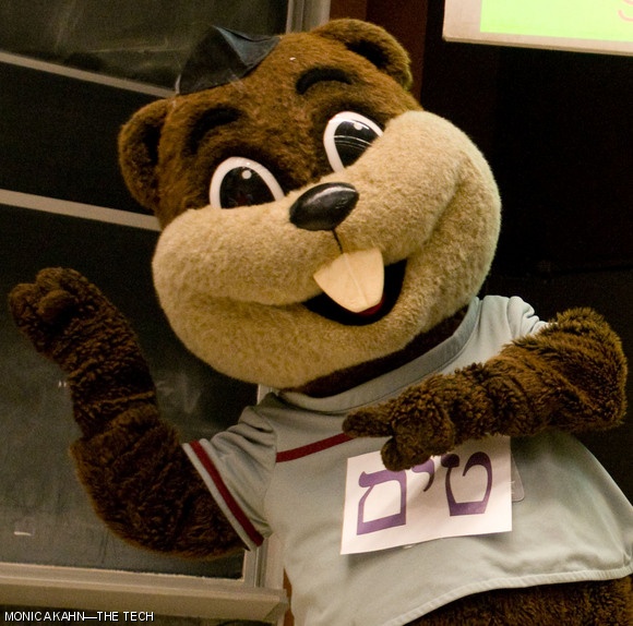 Tim the Beaver gets the crowd excited before the annual Latke-Hamentashen debate, held this year on Wednesday, March 4 in 26-100. The placard on his chest reads “MIT” in Hebrew.