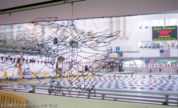 Zesiger Center: Behind a wall mural containing abstract images and equations lies the Z-Center’s olympic-sized swimming pool.