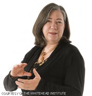 Professor Susan Lindquist of the Whitehead Institute was awarded the National Medal of Science by President Obama on Friday. Lindquist is one of six MIT faculty members to have received this honor.
