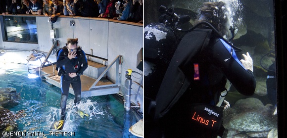 Linus Torvalds, the creator of the open source Linux operating system, dives into the shark tank at the New England Aquarium on Wednesday night. Torvalds was given a choice between giving a keynote presentation at the Linux Plumbers conference and being fed to the sharks, and he chose to jump in. (See page 13.)
