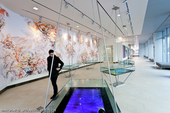 A visitor is spotted in the Koch Institute Gallery, which features striking biomedical images.