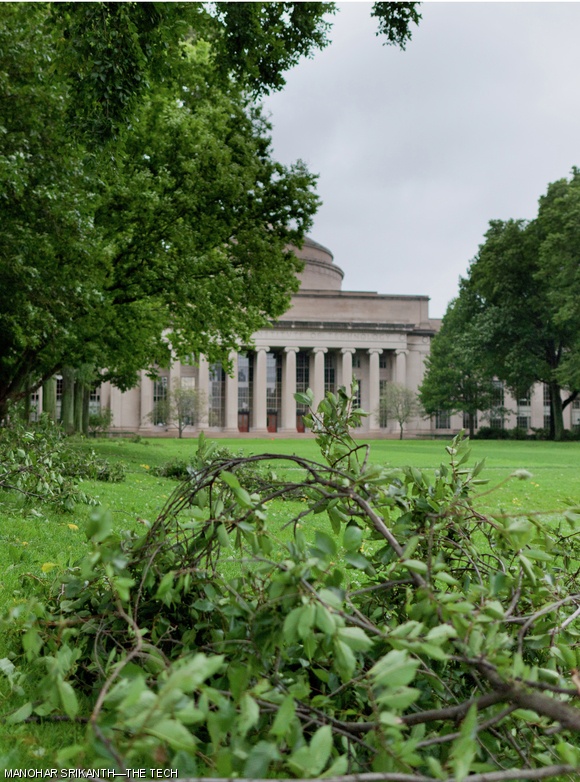 Many branches in Killian Court were downed after Tropical Storm Irene tore through Boston and Cambridge late Saturday night and Sunday morning. Five basements on campus were flooded, but MIT made it through mostly unscathed.